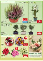 Kaufland online kataloška ponuda
