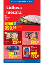 Lidl katalog akcija
