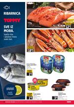 Tommy akcijski katalog
