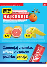 Hofer redni katalog