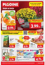 Kataloška akcija
