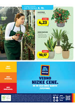 Hofer katalog - Tedenska akcija