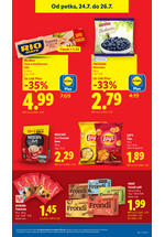 Lidl kataloška akcija