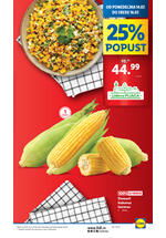 Lidl katalog akcija