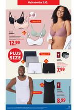 Lidl kataloška akcija