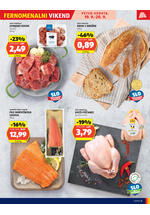 Hofer redni katalog