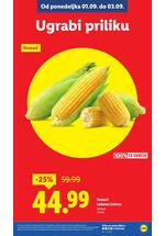 Lidl katalog akcija