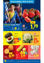 Lidl katalog - Tjedna akcija