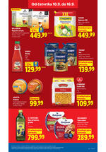 Lidl katalog akcija