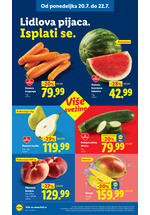 Lidl katalog akcija
