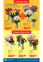 Lidl katalog akcija