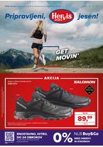 Redni katalog