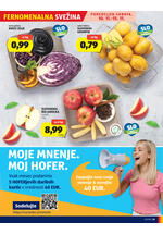 Hofer redni katalog