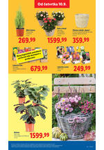 Lidl katalog akcija
