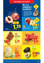 Lidl kataloška akcija