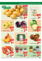 Tuš katalog - Dvotedenska akcija