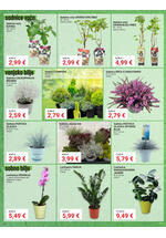 Pevex katalog - Mjesečna akcija