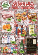 Sinagoga katalog akcija Katalog Akcija