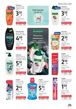 DM mjesečni katalog