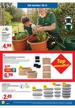Lidl redni katalog