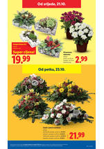 Lidl katalog - Tjedna akcija