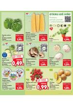 Kaufland kataloška akcija