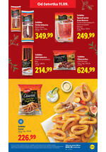 Lidl katalog akcija