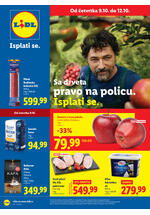 Redovna akcija