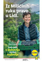 Lidl katalog akcija