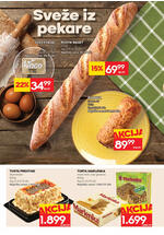 Idea dvonedeljni katalog