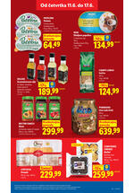 Lidl katalog akcija