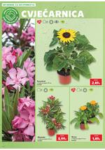 Kaufland online kataloška ponuda