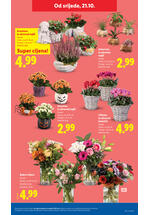 Lidl katalog - Tjedna akcija