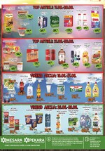 Sinagoga katalog akcija