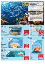 Kaufland online kataloška ponuda