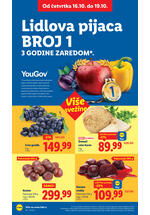 Lidl katalog akcija