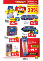Lidl katalog akcija