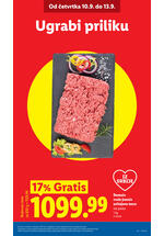 Lidl katalog akcija