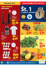 Lidl redni katalog