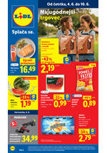 Redni katalog