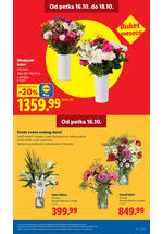 Lidl katalog - Nedeljna akcija
