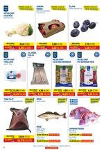 Metro katalog - Prehrana i neprehrana