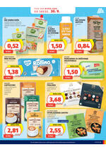 Hofer katalog - Tedenska akcija