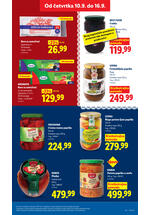 Lidl katalog akcija