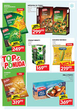 Idea dvonedeljni katalog
