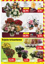 Plodine kataloška akcija