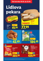 Lidl katalog akcija