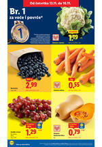 Lidl kataloška akcija
