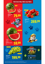 Lidl katalog akcija