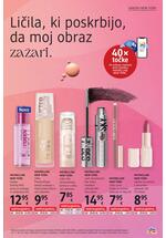 DM redni katalog